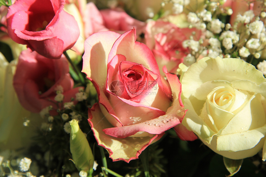 粉红和白玫瑰混合的新娘花束图片
