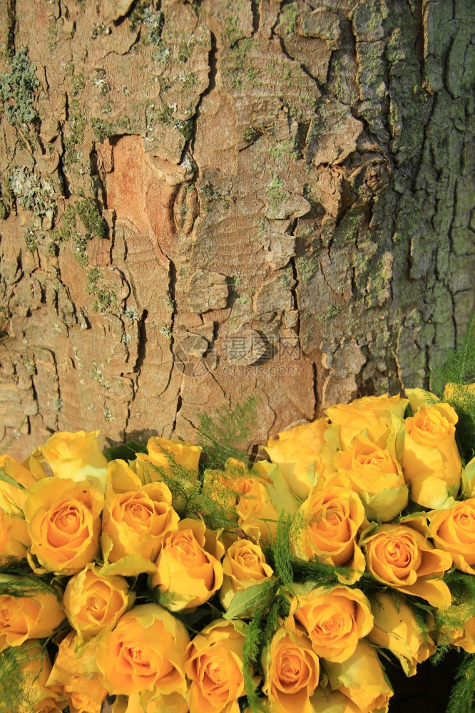 鲜花婚礼安排中的黄玫瑰图片