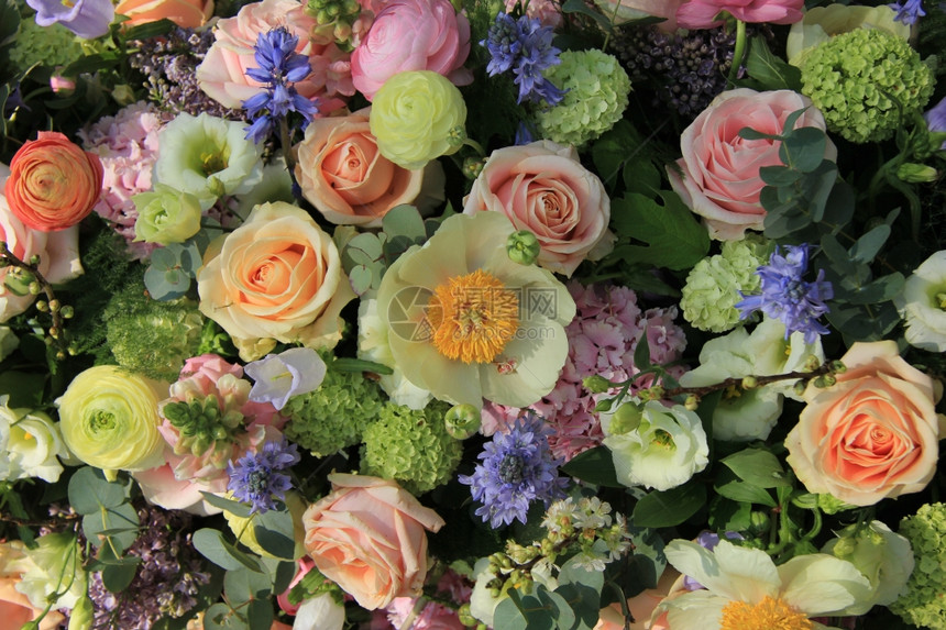 混合的新娘花装饰面条彩礼和花朵色图片