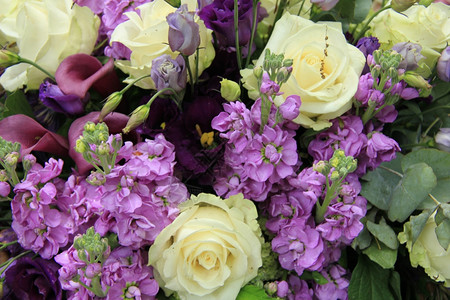 白花和紫的织安排玫瑰和camealillies图片