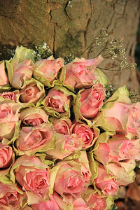 带有粉红色绿玫瑰的婚礼桌中心背景图片