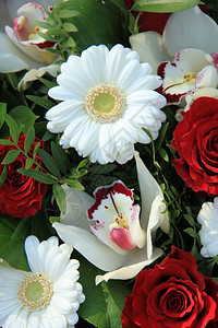 红白兰玫瑰和白黄花的新娘安排背景图片