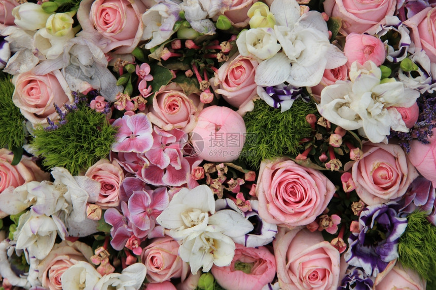 各种粉色和不同花朵的树荫下婚礼安排图片