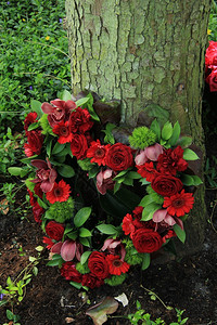 红玫瑰在心形的同情安排中图片