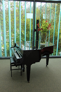 音乐厅里的大钢琴图片