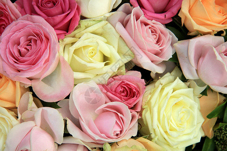 各种粉色和白的面的婚礼花束图片