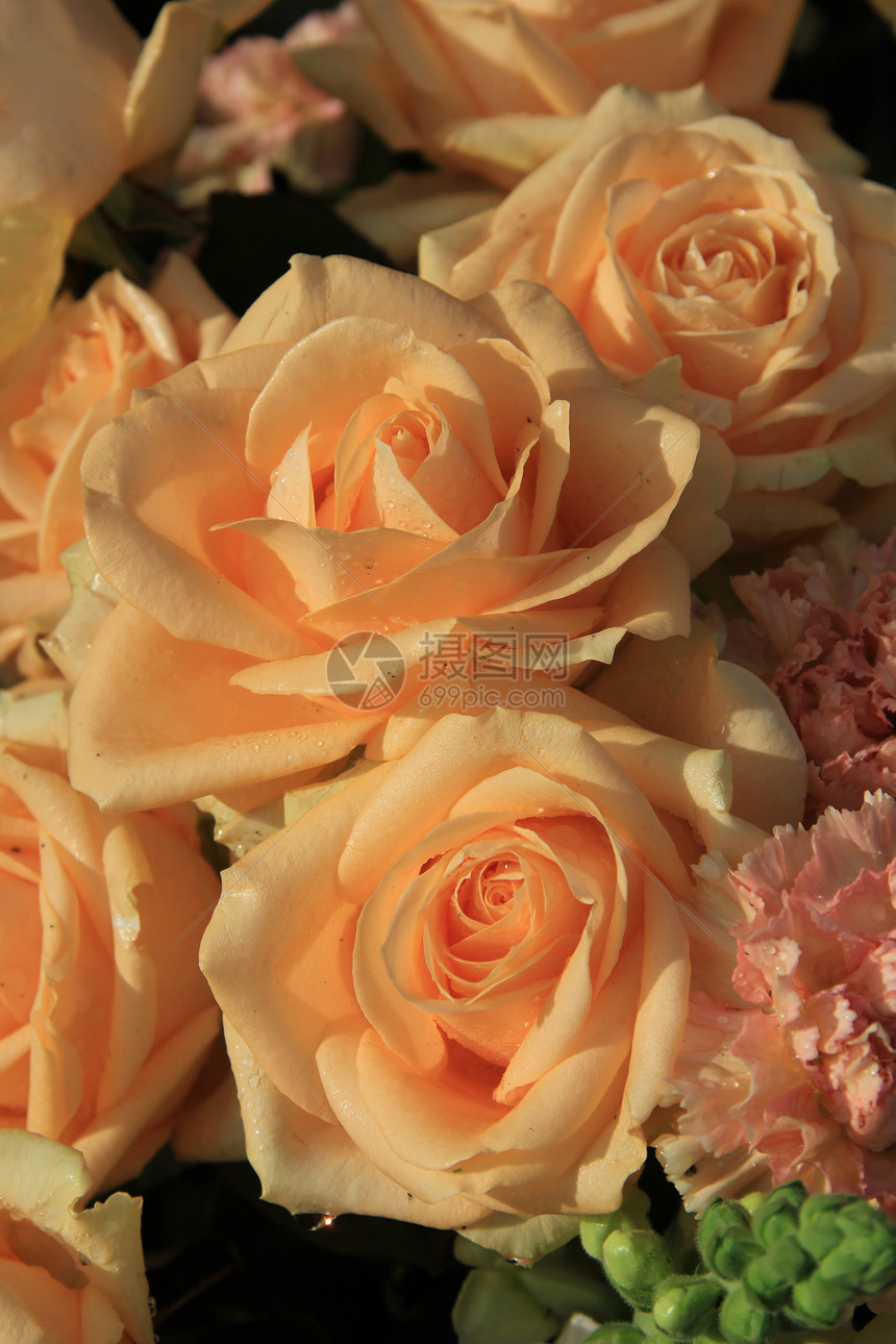与软橙色玫瑰和康乃馨的花香安排图片