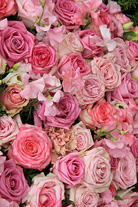 鲜花安排中的粉红玫瑰间装饰品背景图片