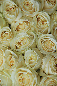 以优雅和经典的婚礼安排白玫瑰图片