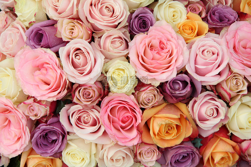 粉色不同颜与白和紫结合的新娘花排列图片