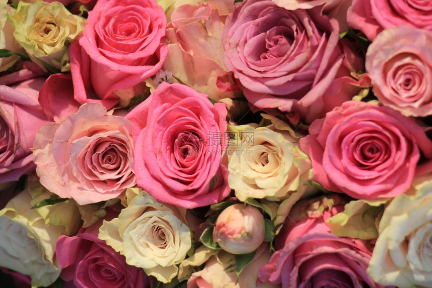 花式婚礼装饰中的混合粉红玫瑰图片