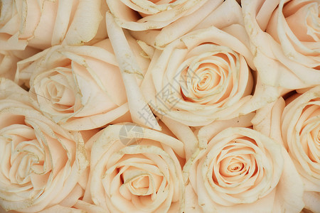 在婚礼花束中的粉红玫瑰图片