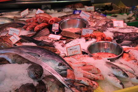 在一家鱼店的压碎冰面上新鲜海鱼标签价格和产品信息荷兰文背景图片