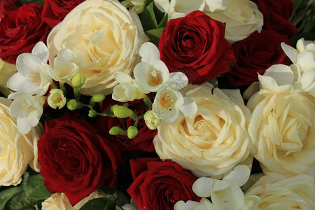 红玫瑰和白在新娘花束中图片