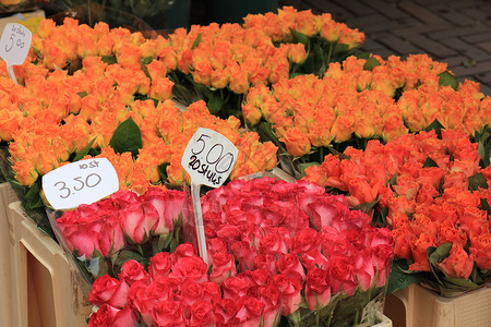 市场上各种颜色的玫瑰标记文字荷兰语名称和价格图片