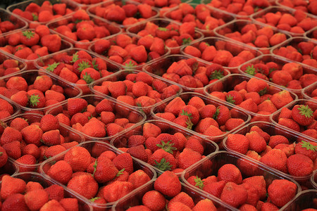 在市场摊位上小型塑料集装箱中的草莓图片