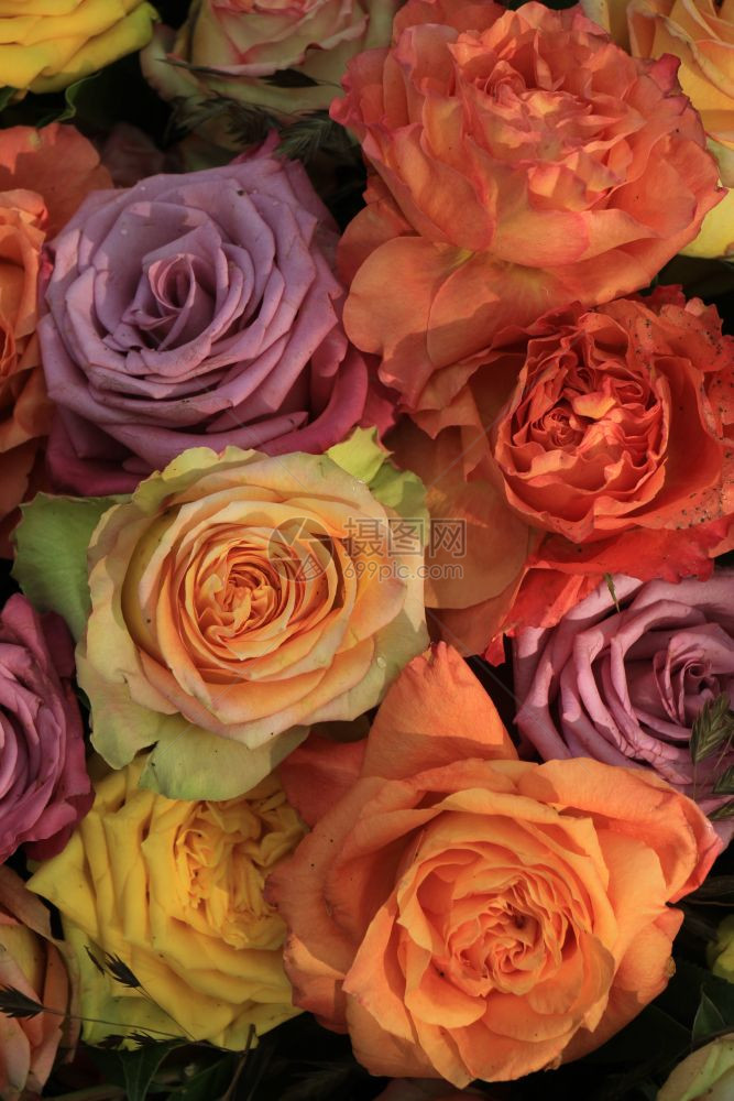 多彩玫瑰花的结婚装饰图片