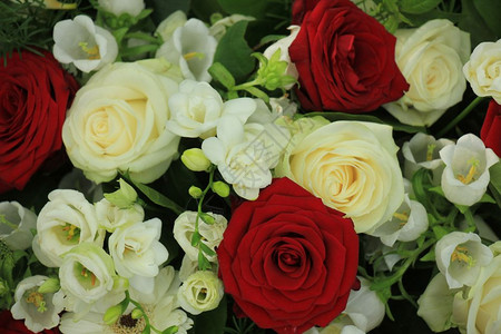 古红色和白的婚礼花束背景图片