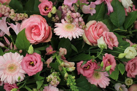 混合粉红色花安排不同粉红色树荫下的各种花朵图片