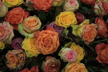 多彩玫瑰花的结婚装饰图片