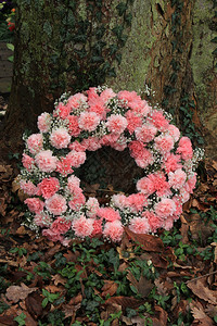康乃馨花环粉红同情或花 在墓地一棵树附近背景