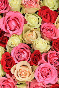 花式婚礼装饰中的大粉红混合玫瑰花背景图片