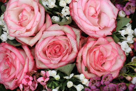 大粉红玫瑰花般的婚礼装饰图片