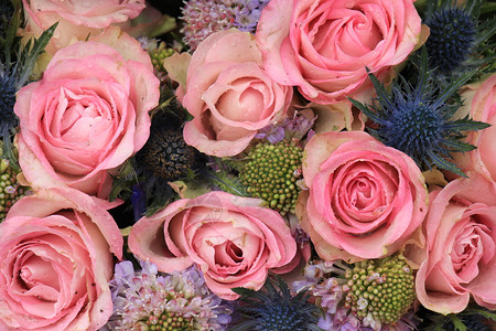粉红玫瑰和蓝色海花婚礼安排高清图片
