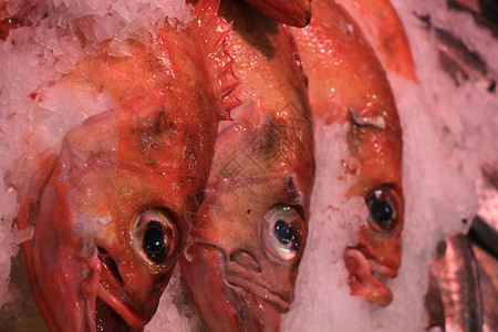 鱼店碎冰上的新鲜海鱼背景图片