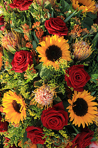 婚礼安排中的向日葵和大红玫瑰图片