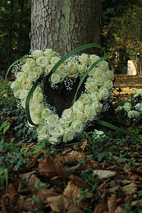 在一棵树附近用白玫瑰制成的心形同情花朵图片