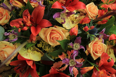 秋花安排各种不同颜色的婚礼花朵图片