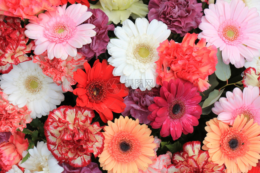 混合花安排婚礼不同颜色的各种发芽花图片