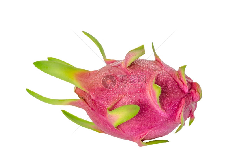 鲜粉红皮卡亚活生和力勃的龙果在白色背景下被孤立图片