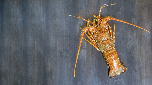 木制背景和复空间的蒸龙虾最佳视图新鲜龙虾海图片