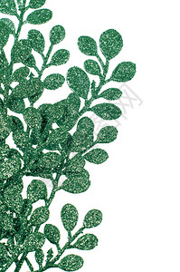圣诞装饰绿叶孤立在白色背景背景图片