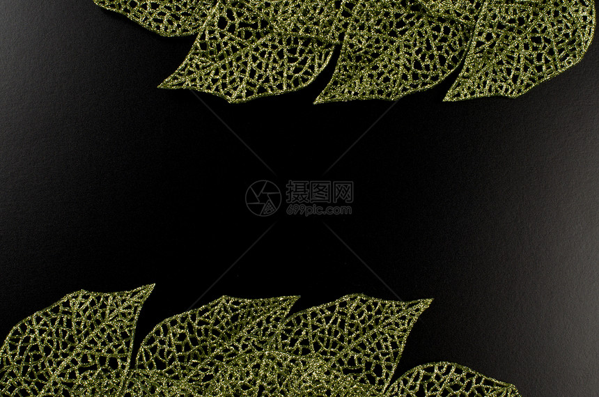 绿叶框形成黑色背景的抽象框架图片