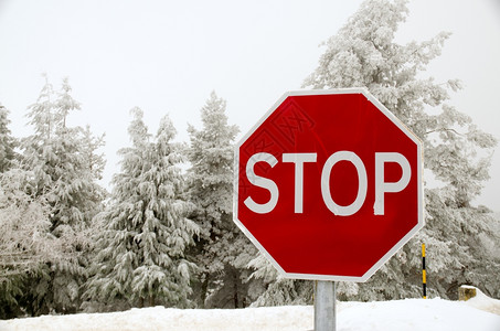 在冬天的雪停止路牌图片