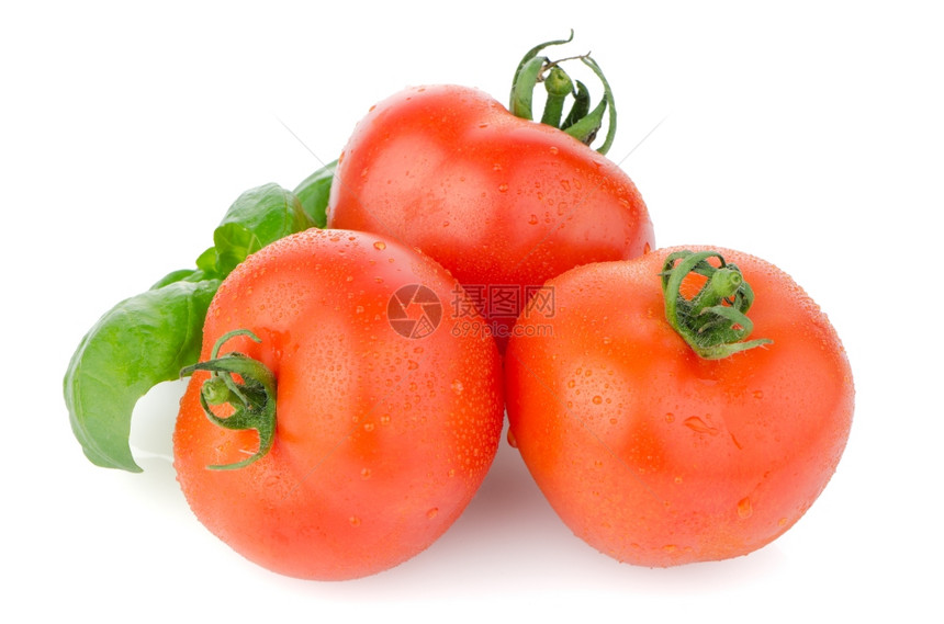 成分西红柿和巴尔叶图片