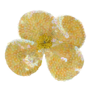 白色背景的黄花装饰被孤立背景图片