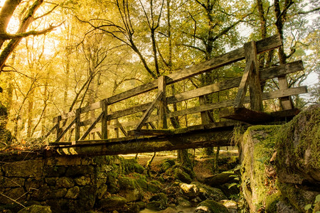 葡萄牙Geres公园木桥图片