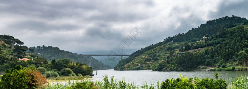 葡萄园在山上牙杜罗山谷的景象图片