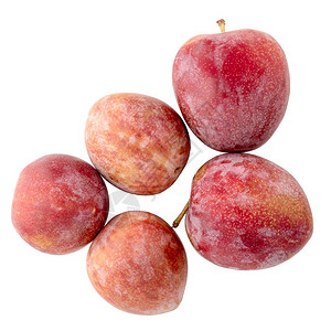 白色背景上孤立的红熟李子水果顶端视图图片