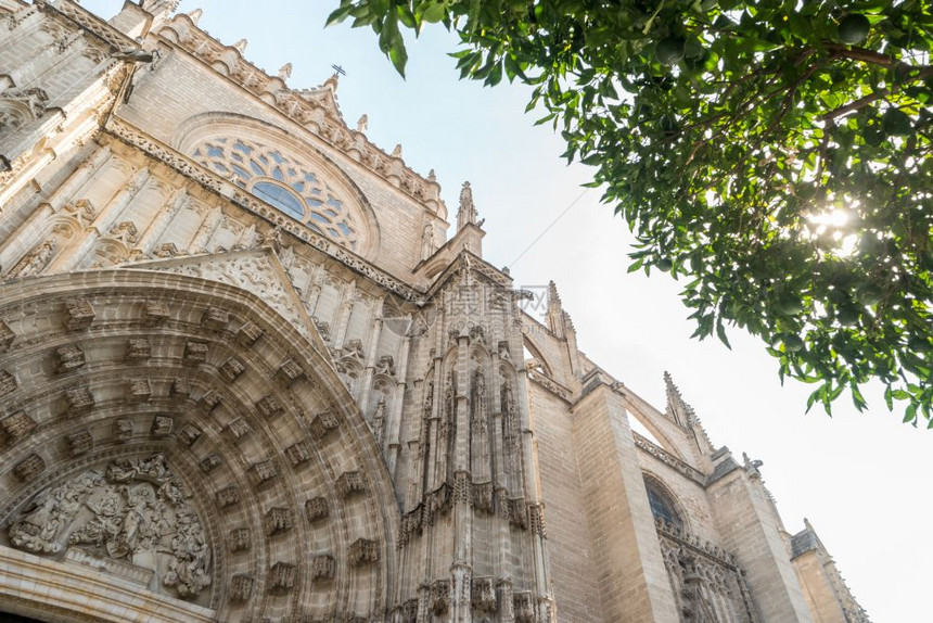 塞维利亚安达卢西大教堂的门道西班牙从下面看图片