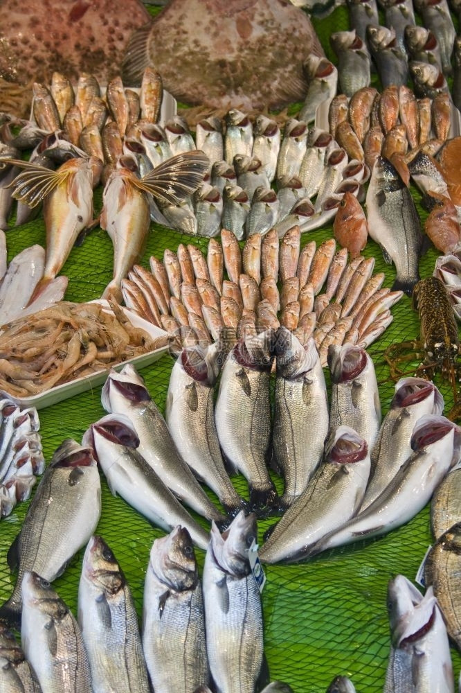 市场里有不同种类的鱼等待出售图片