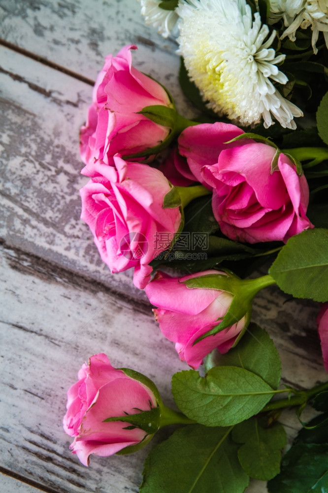 白木背景上的粉红玫瑰图片