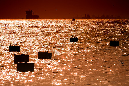 伊斯坦布尔Bosphorus日落时停泊的浮标和轮船环光灯图片