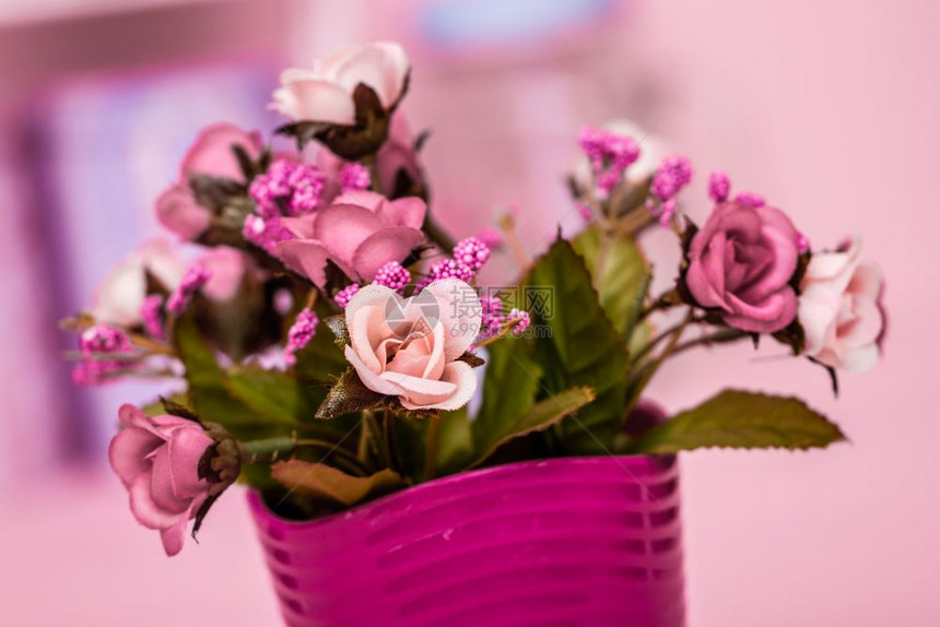 粉红木本底色花盆中的人工粉红花图片
