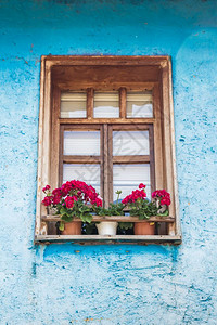 蓝色墙上有红花的棕色木制窗图片