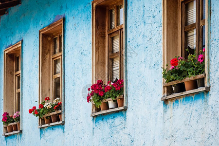 蓝色墙上有红花的棕色木制窗图片